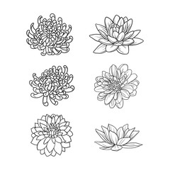 Set of flowers hand draw