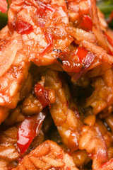 Close up image of tempeh in sweet soy sauce
