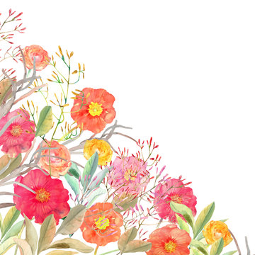 Vector floral border. Isolated roses and wild flowers drawn wate