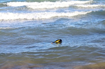 bottle in the ocean with a message