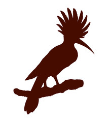 Bird. Vector drawing © Marina