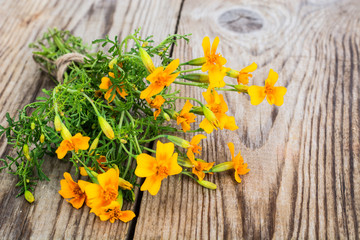 Tagetes Flowers on Wooden Background