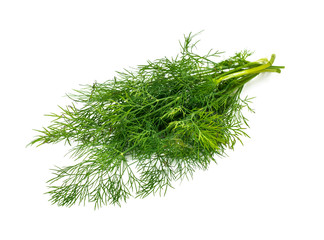 Fresh Juicy Dill Isolated on White Background