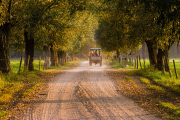 Podlaska droga © podlaski49