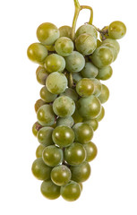 bunch of ripe green grapes. isolated on white background