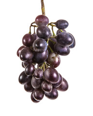 bunch of ripe blue grapes. isolated on white background