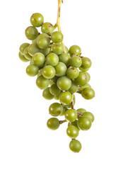 bunch of ripe green grapes. isolated on white background