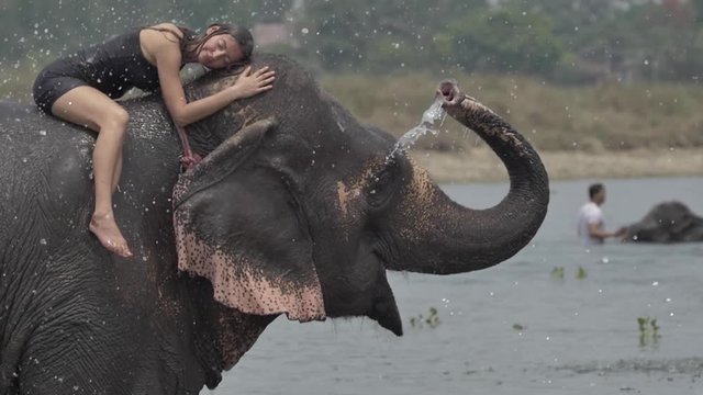 Girl have a shower on the elephant