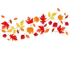 Autumn Leaves Frame