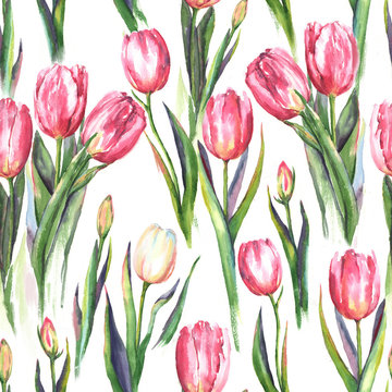 Hand-drawn watercolor seamless pattern with pink and white tulip flowers. Repeated spring print for the textile, wallpaper. Tender and beautiful background