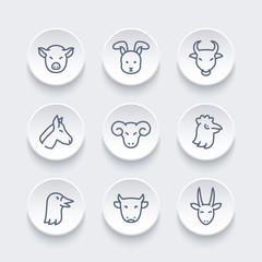 Farm animals icons, linear pictograms, pig, rabbit, ram, hen, goose, cow, goat, bull, horse, vector illustration