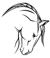 horse head black and white vector design