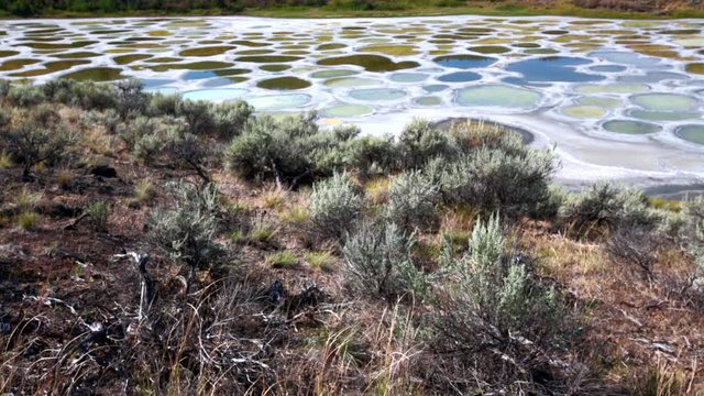 Spotted Lake in British Columbia, Canada