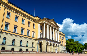 Fototapeta na wymiar The Royal Palace in Oslo