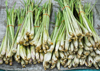 lemongrass sale at local market,Thailand (Cymbopogon citratus Stapf, Euphorbiaceae)