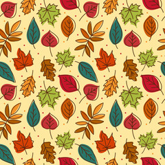 Fototapeta na wymiar Seamless pattern with hand drawn autumn leaves. Fall of the leaves. Vector illustration.