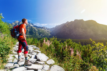 Man standing on the path, looking at mountains