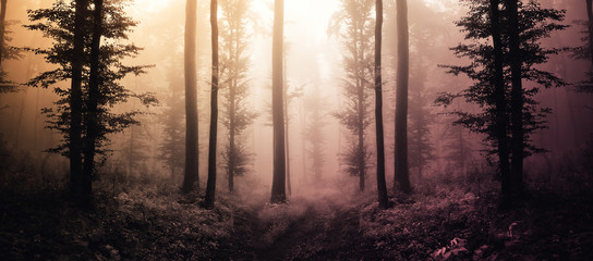 Obraz premium fantastyczny krajobraz lasu