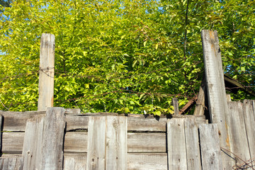 Naklejka premium Barbed wire sticking out of the wooden fence. In the background