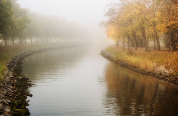 Landscape with tree lined canal on a foggy autumn morning.