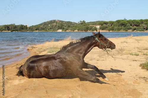 7 Anno Vecchio Ragazzo Inglese Costruire Un Castello Di