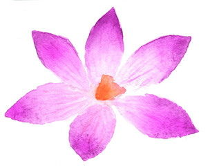 Obraz premium Pink flower in watercolor