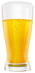 Lager beer in glass