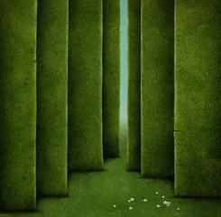 Foto op Aluminium Background for Conceptual illustration with green maze © annamei