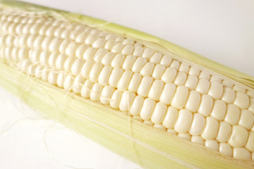  白いトウモロコシ