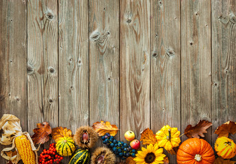 Colorful background for Halloween and Thanksgiving