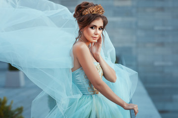 Girl Queen with crown in a dress.
