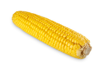 One yellow corncob or corn isolated on white background