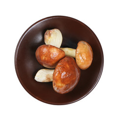 boletus mushrooms in plate