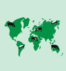 Cows of different color on a green map of the world. Vector