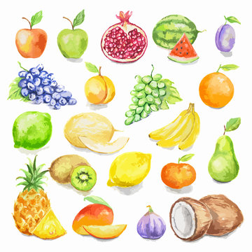 Watercolor fruit set. Juicy and colorful tropical fruit on white background including apples, mango, plum, coconut, lime and more. Vegetarian diet food with vitamins.