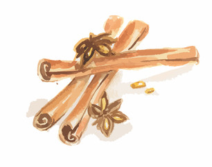 Watercolor anise and cinnamon. Isolated spice on white background. Seasoning for meal or dessert.
