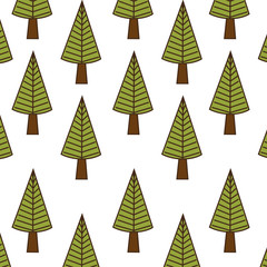 green pine tall tree plant with brown trunk background. vector illustration