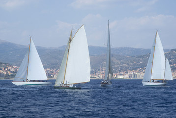 Classic yacht regatta