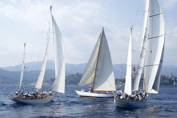 Fototapeta premium Classic yacht regatta