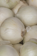 onions at market