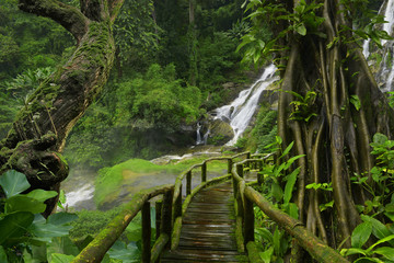 Thailand jungle with waterfalls