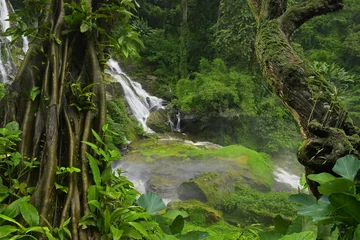 Türaufkleber Dschungel Thailand-Dschungel mit Wasserfällen