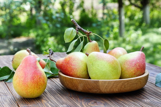 Ripe pears on a wooden table in the garden