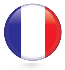 France flag button