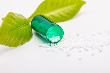 Green leaf and open capsule