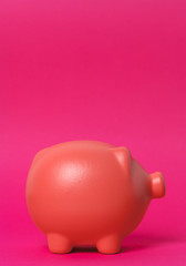 Beautiful ceramic piggy coin bank, money savings concept