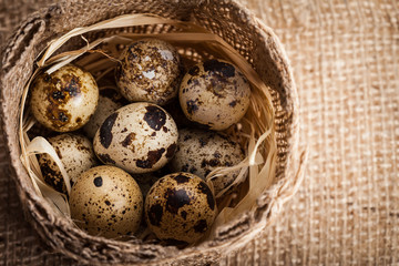 Fresh quail eggs at wooden plate closeup