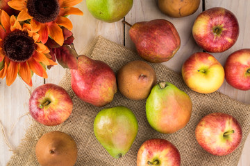Naklejka na ściany i meble Assorted pears and apples of new harvest.