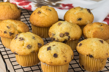 Mini chocolate chips muffins.