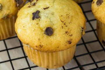 Mini chocolate chips muffins.
